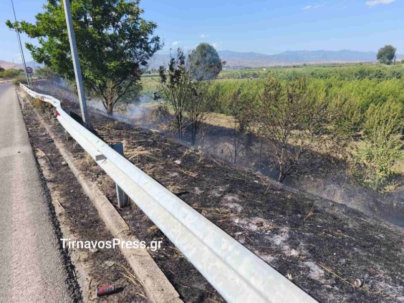Φωτιά στην είσοδο του Τυρνάβου – Στο σημείο η Πυροσβεστική, κλειστή η κυκλοφορία